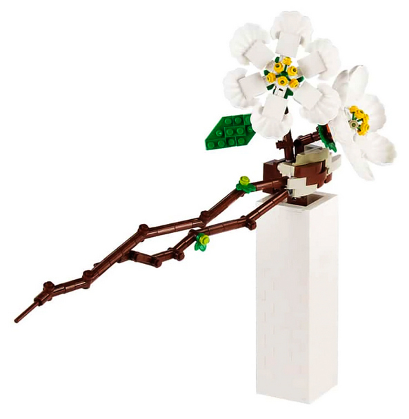 DK 3011 | Flowers World | Chinesischer Winterpflaumenbaum