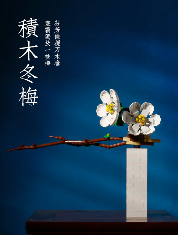 DK 3011 | Flowers World | Chinesischer Winterpflaumenbaum